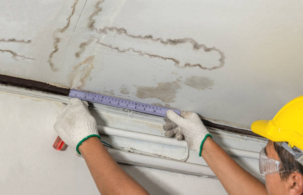 Reliable Water Damage Repair contractor in Mount Pleasant, NC by Hirex Water Damage